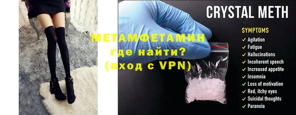 молекула духа Богданович